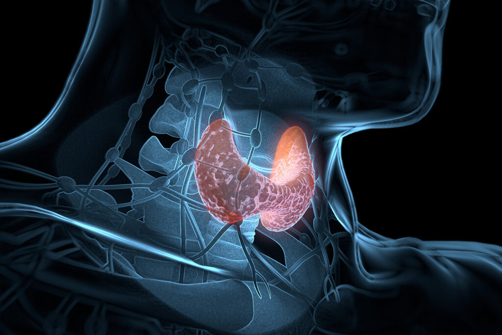 Thyroid Disorders: Symptoms & Treatment